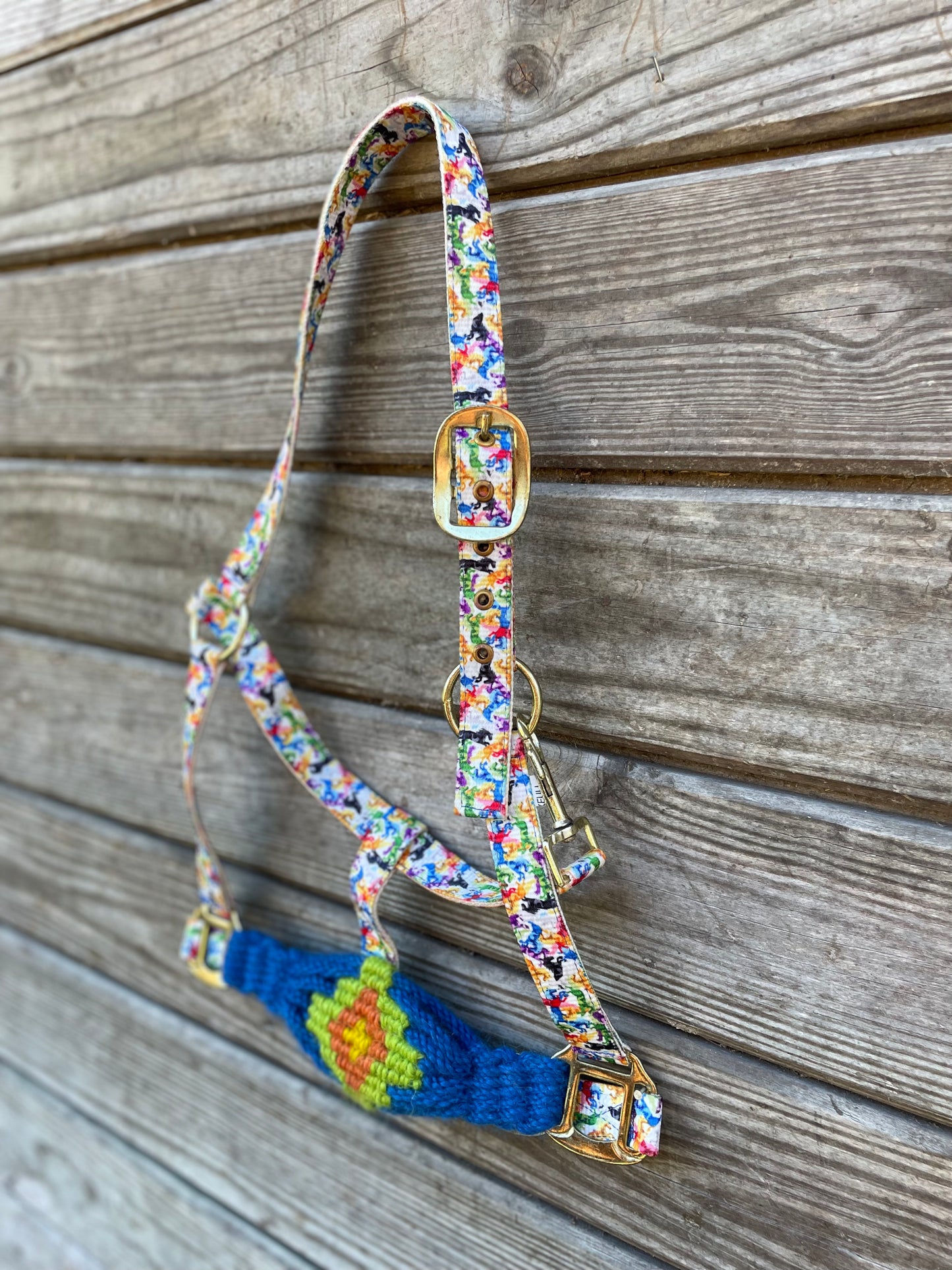 Rugged Halter Rainbow Horse