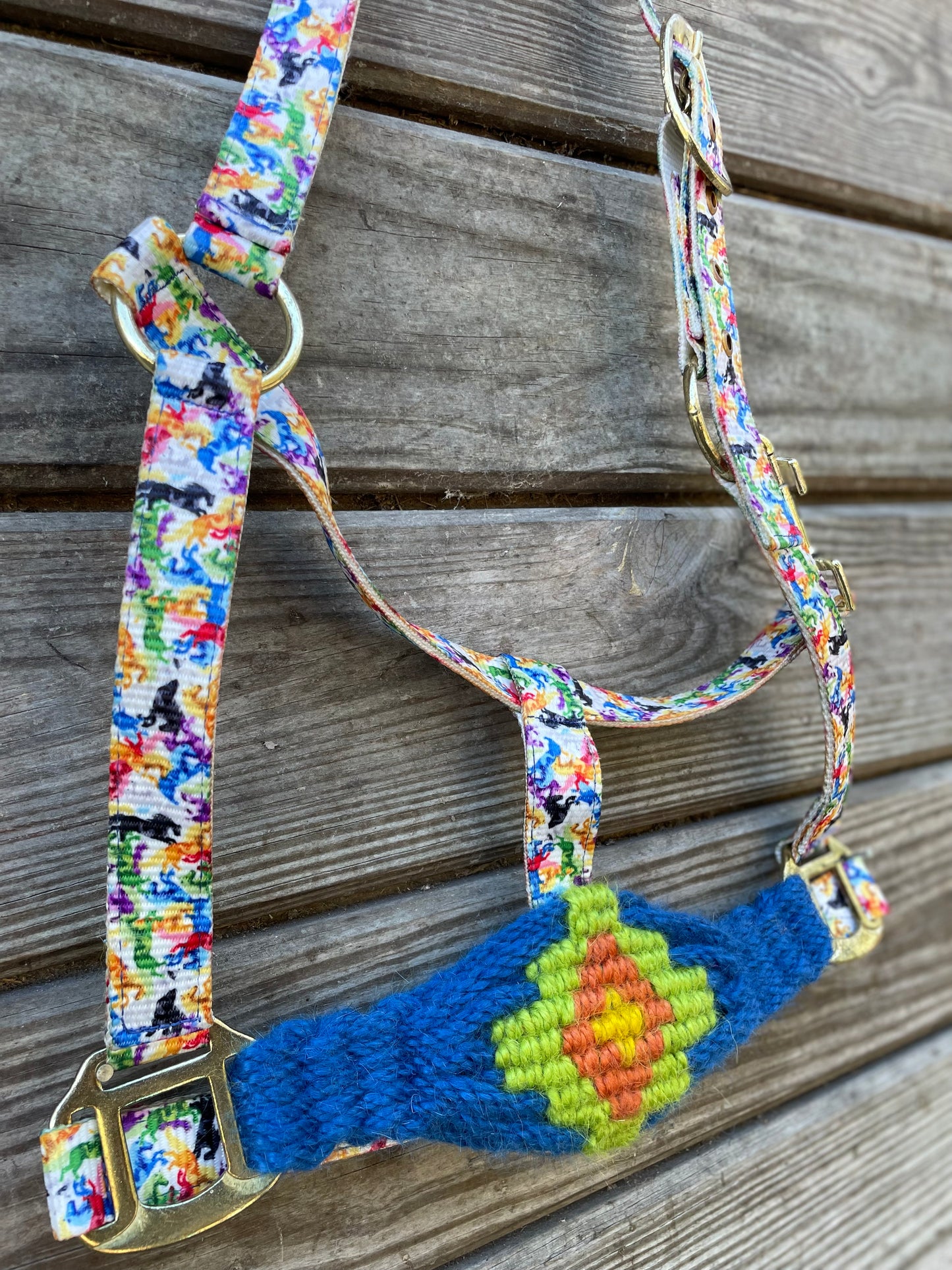 Rugged Halter Rainbow Horse