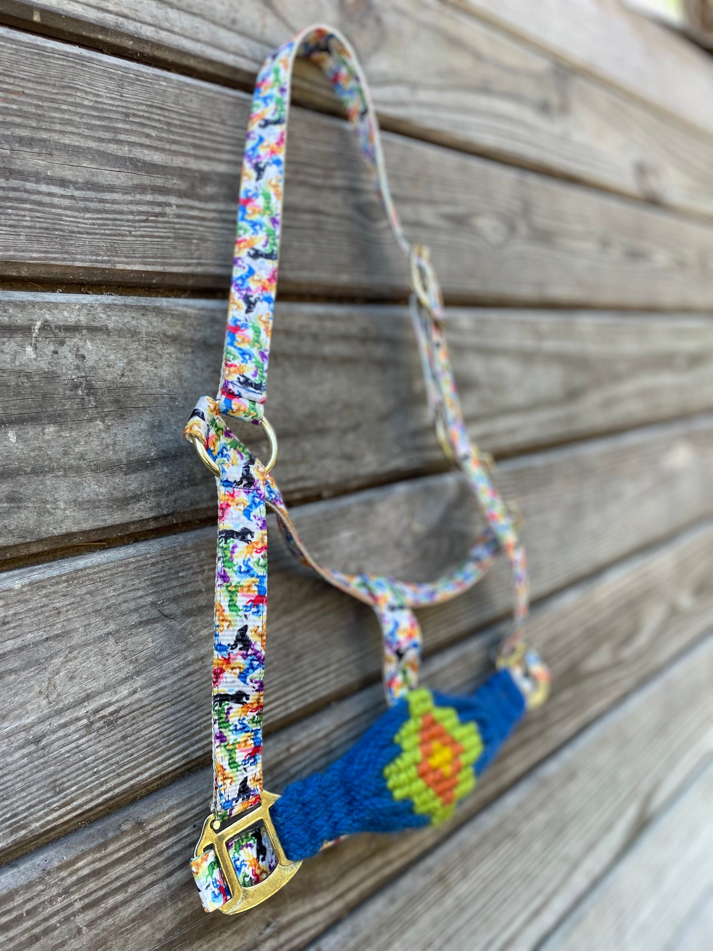 Rugged Halter Rainbow Horse