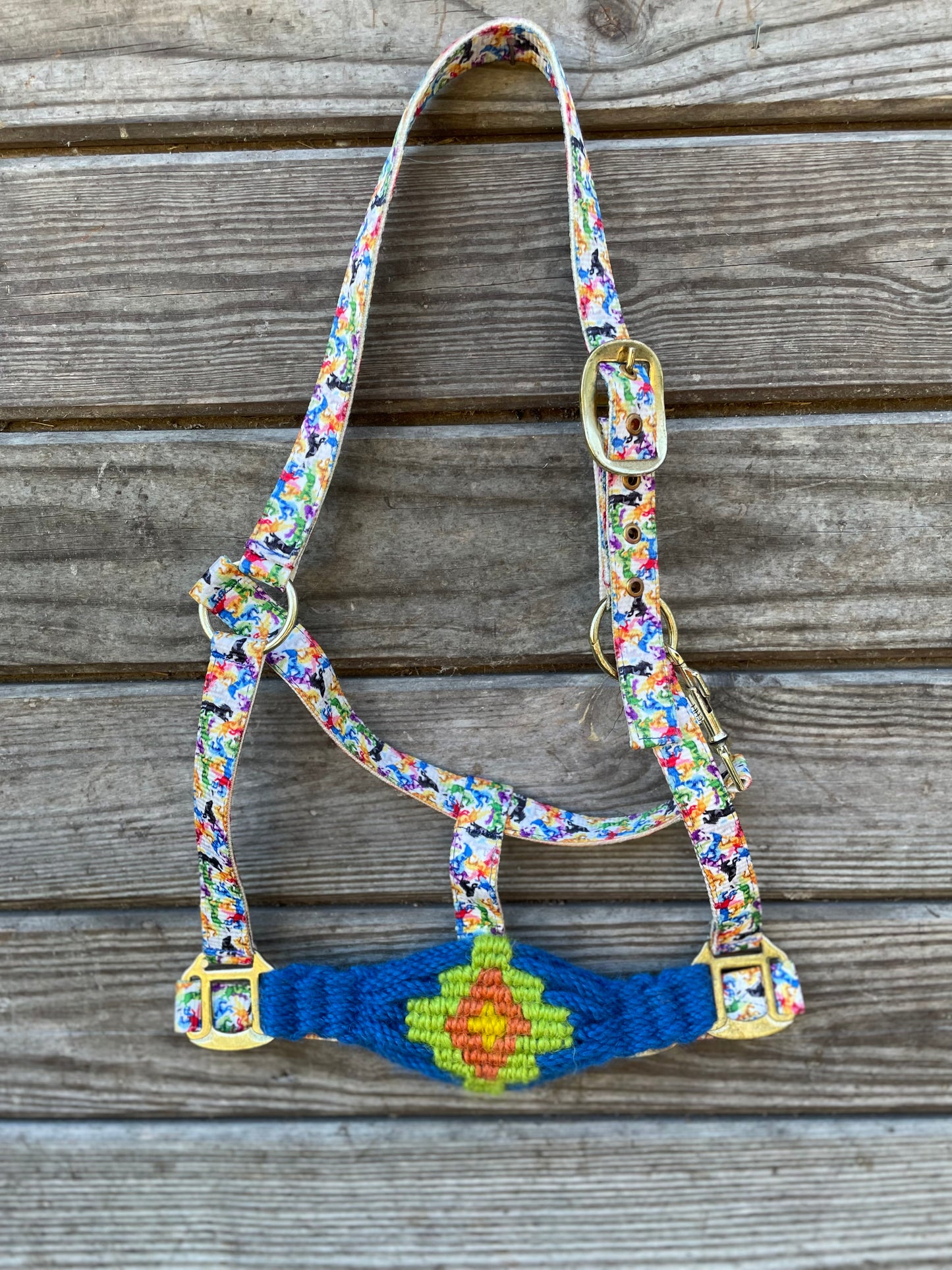 Rugged Halter Rainbow Horse